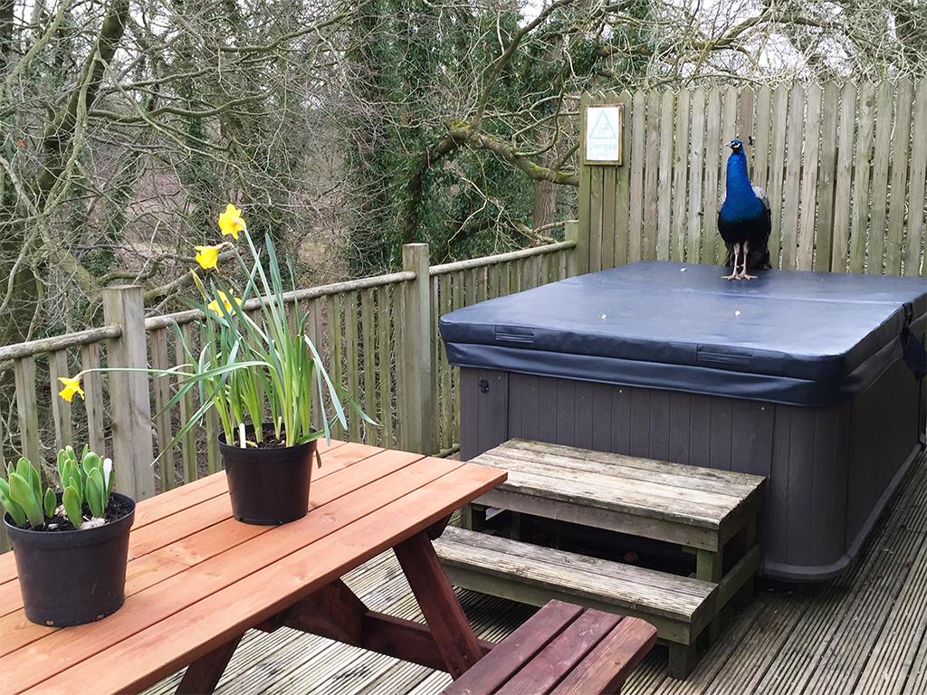 3 bedroom park home For Sale in Clitheroe - external3.jpg
